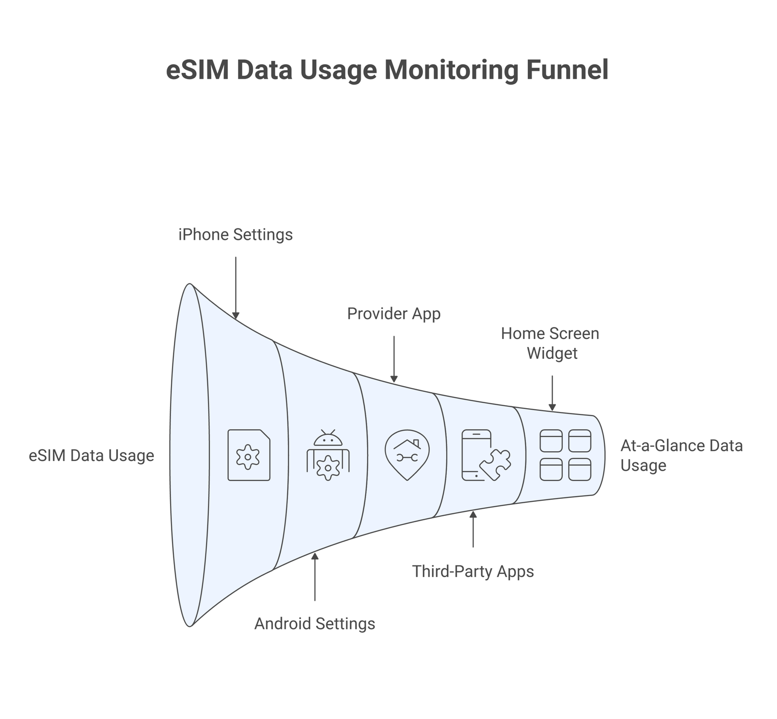 check eSIM data usage infographic